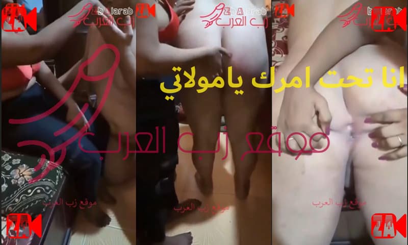 هفشخلك طيزك.. انا تحت أمرك يامولاتي